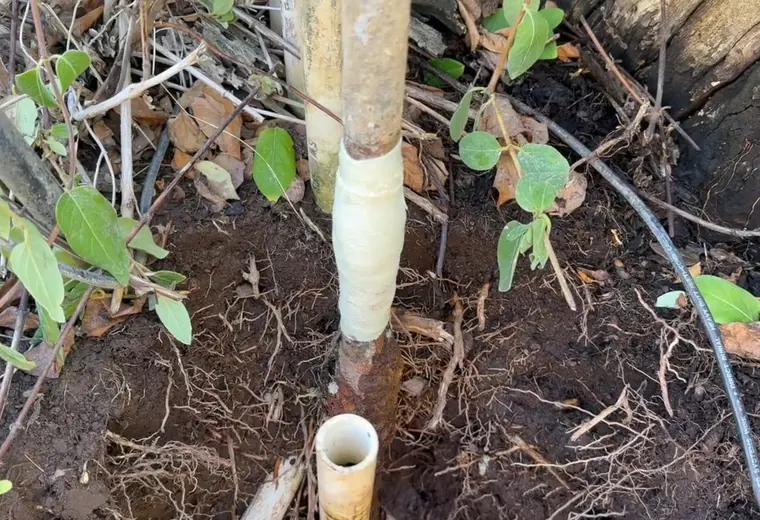 Outdoor hose bib connection being repaired near the wall for Hose Bib Repair Replacement service in Mechanicsburg